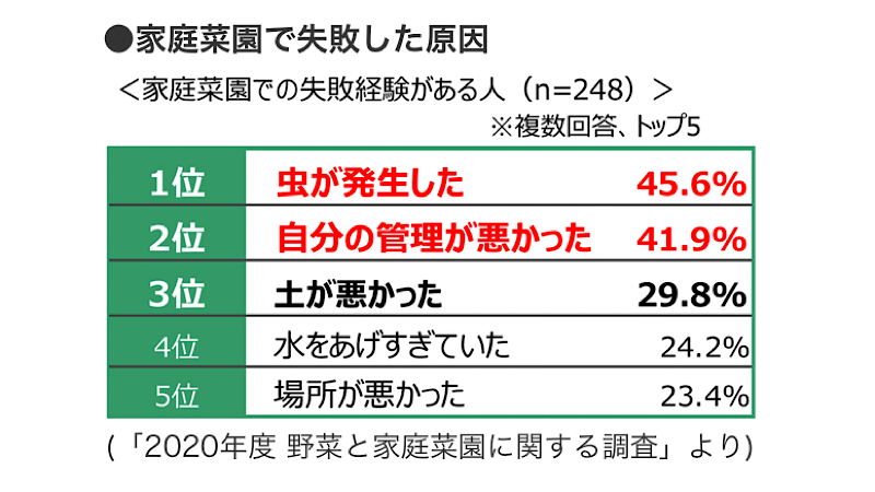 野菜作りで失敗した原因調査
