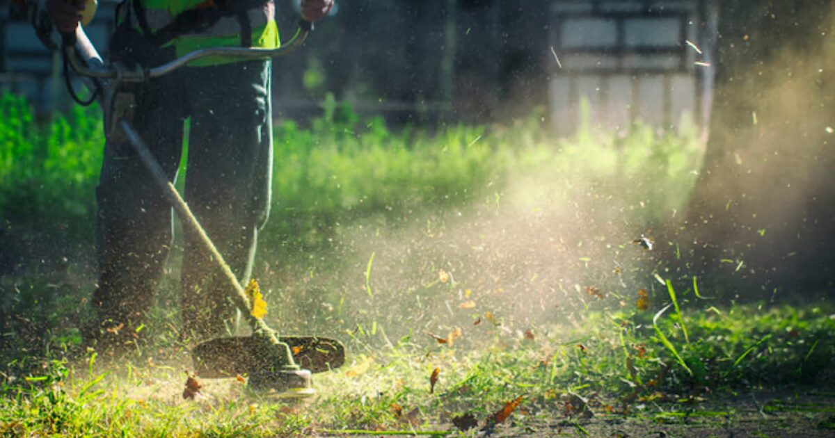 草刈りのレンタルはホームセンターがお得?