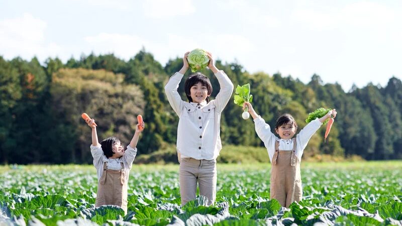 野菜作り教室に挑戦する人が増えている理由