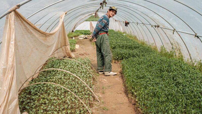 野菜作りは教室と本と独学どれがいい?