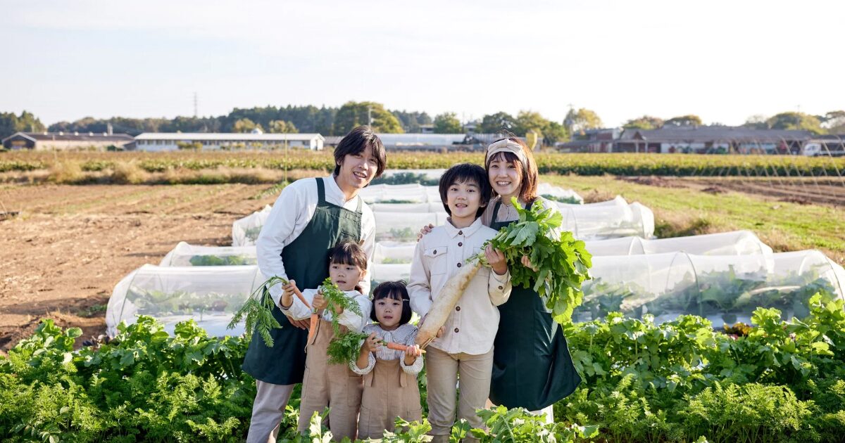 野菜の育て方は小学生でも簡単！
